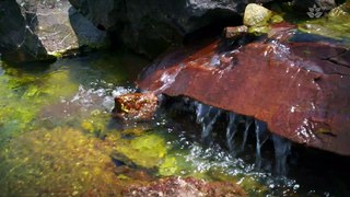 1 Hour of Gentle Running Water Sounds for Sleeping and Meditation | Nature White Noise