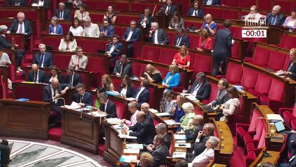 Députés NUPES à une manifestation interdite pour Adama Traoré : l’extrême gauche nous prouve sa haine de la France