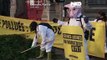 WATCH: Green algae protest against farming in France
