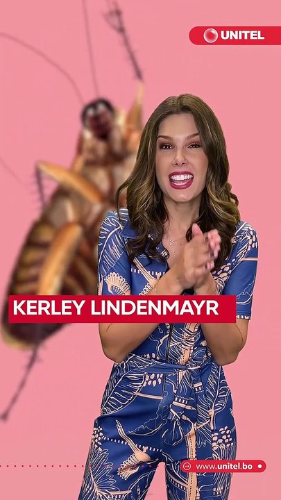 ¿Sabías que, según una investigación, la leche de cucarachas existe y es mejor que la leche de vaca?