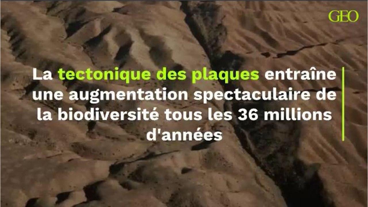 La tectonique des plaques entraîne une augmentation spectaculaire de la biodiversité tous les 36 millions d'années. (1)