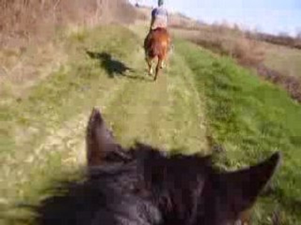 Galop balade 23 02 08