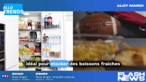 Le réfrigérateur le plus discret pour les petits logements désormais disponible chez Lidl !