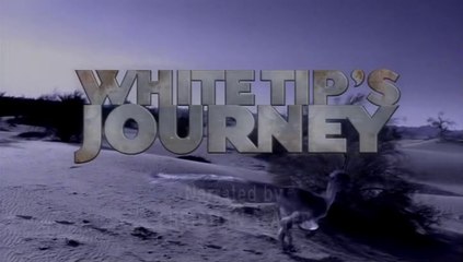 Dinosaur Planet Episode 1: White Tip's Epic Survival Journey 🦖