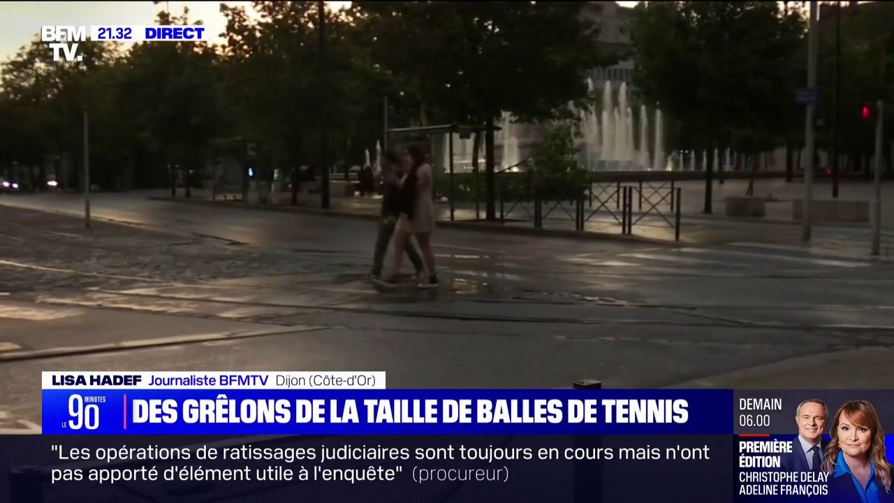 Orages: un arbre effondré en plein centre-ville de Dijon