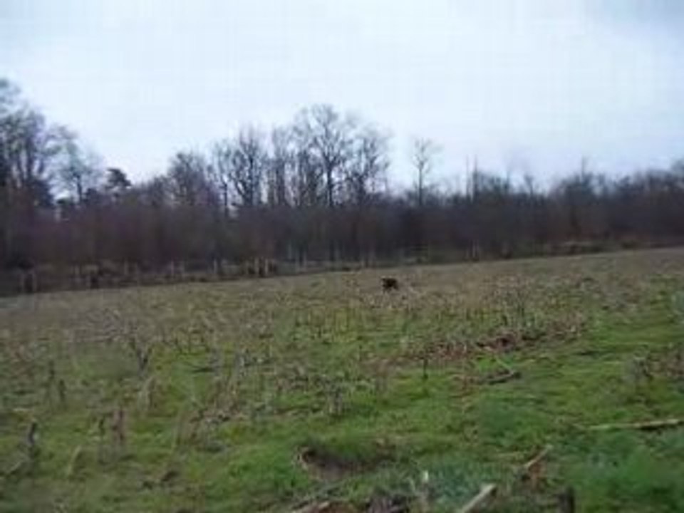 DSCF0189