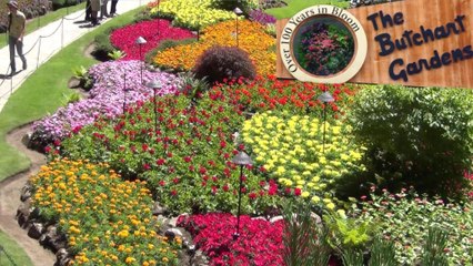 Butchart Gardens, Victoria n the ferry. USACan23.010, Vancouver Island, B.C., Canada, 30 Jun 2023