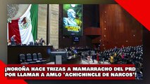 ¡VEAN! ¡el dr. noroña hace trizas a mamarracho del prd por llamar a amlo 'achichincle de narcos'!