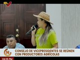 Consejo de Vicepresidentes y productores agrícolas crearán plan que mejore la productividad agraria