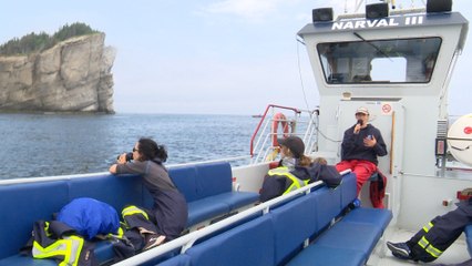 Des changements majeur observés dans le déplacement des baleines