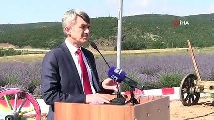 DPÜ Tavşanlı Meslek Yüksekokulunda lavanta bahçesi