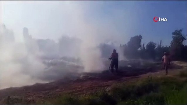 Alevlerin Arasında Kalan Kaplumbağa İtfaiye Ekipleri Tarafından Kurtarıldı