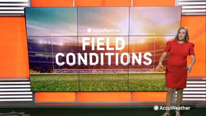 Your mid-July sports forecast