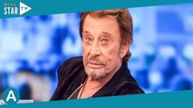 Johnny Hallyday : son ex-chauffeur fait une révélation importante sur l'adoption de Jade