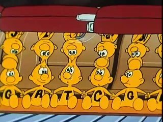 Siamo fatti così - 14 - I neuroni