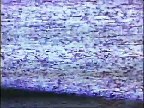 Anticorps Bande-annonce (EN)