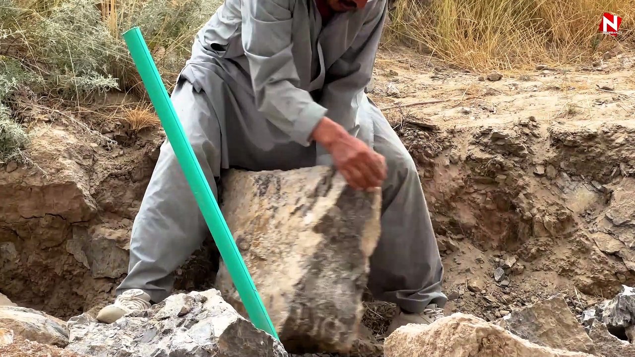 گُل سر پارک زیارت کوہ کوئٹہ-مظہر علی ہزارہ