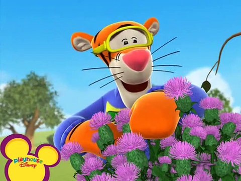 I miei amici Tigro e Pooh 11-12 - Su con la vita Hi-Ho - Ma i Tigri non dormono mai