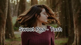 Sweet Pea -Tash _English Songs Chill Mix