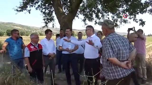 Sındırgı'da yerli üretim ile alınan verim yüzleri güldürdü