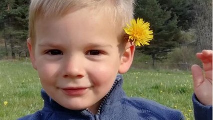 GALA VIDEO - Disparition d’Émile - Le procureur fait une grande révélation : “Pas de crime…”