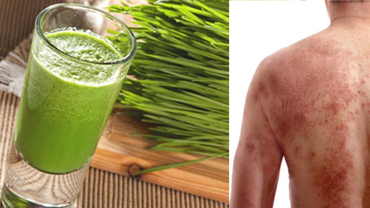 व्हीटग्रास जूस पीने के गंभीर नुकसान  । Wheat Grass Juice Pine Ke Nuksan । Boldsky