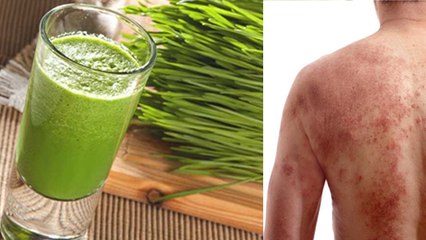 व्हीटग्रास जूस पीने के गंभीर नुकसान  । Wheat Grass Juice Pine Ke Nuksan । Boldsky