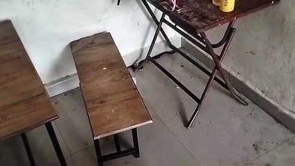 सीएम राइज प्राथमिक विद्यालय में घुसा सांप