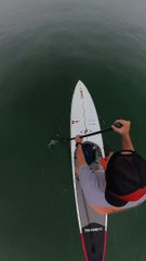 Paddleboarder filma momento em que tubarão branco o acompanha