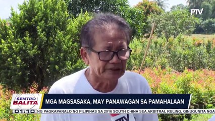 Naka-schedule na pagtatanim ng palay sa Malolos, Bulacan ngayong buwan, kinansela muna