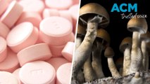 MDMA and psychedelic therapy: who can access the newly-available drugs on prescription?