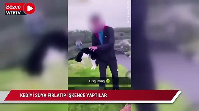 Rahatsız edici görüntüler: Kediyi suya fırlatıp işkence yaptılar