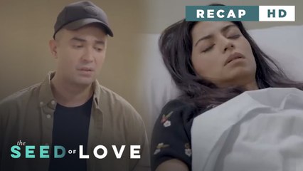 The Seed of Love: The enemy gains Eileen's trust (Weekly Recap HD)