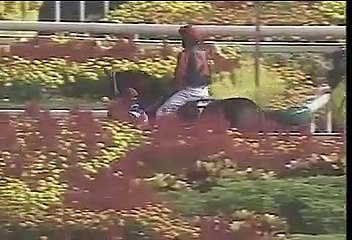 J SPORTS ステークス2010 #2 シンガポール国際カップ