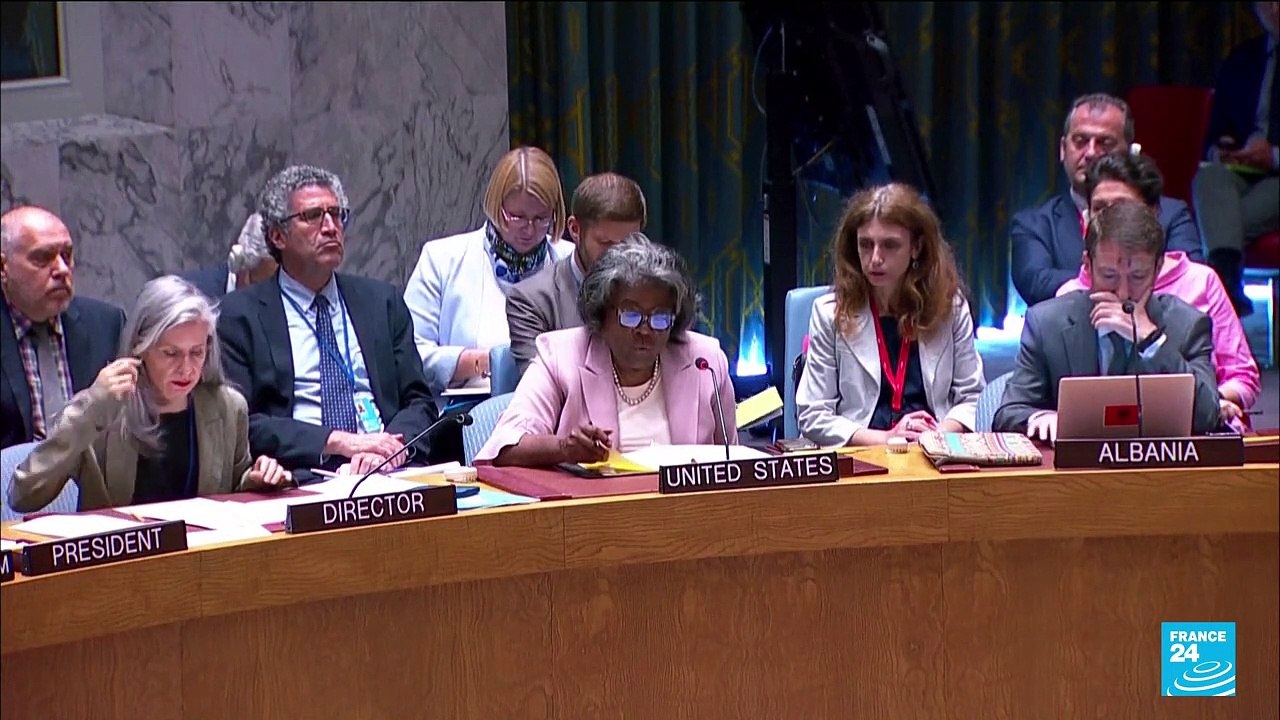 UN aid to Syria: Russia vetoes UN vote to extend key aid route