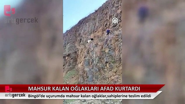 Uçurumda mahsur kalan oğlakları AFAD ekipleri kurtardı