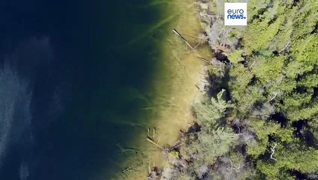 Учёные нашли место, где началась эпоха антропоцена