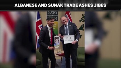 A democratic sledging match - Sunak vs Albanese