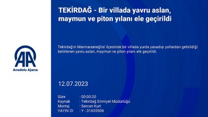 Hayvanat bahçesi gibi! Villada ele geçirilenler şaşkına çevirdi