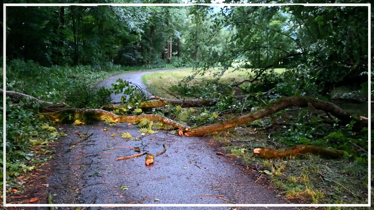 Unwetter sorgten vor allem in der Westhälfte Österreichs für Schäden