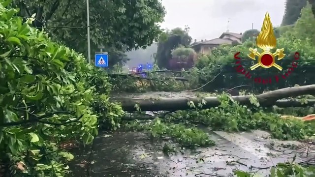 Gli alberi crollano sulle strade trasformate in fiumi: i danni del maltempo nel Comasco