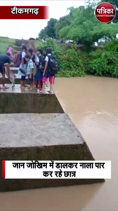 स्टॉप डेम पर सीढ़ी लगाकर नाला पार कर रहे छात्र