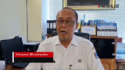 Puluhan Kucing Mati Misterius di Sunter, Diawali Gejala Kejang-Kejang