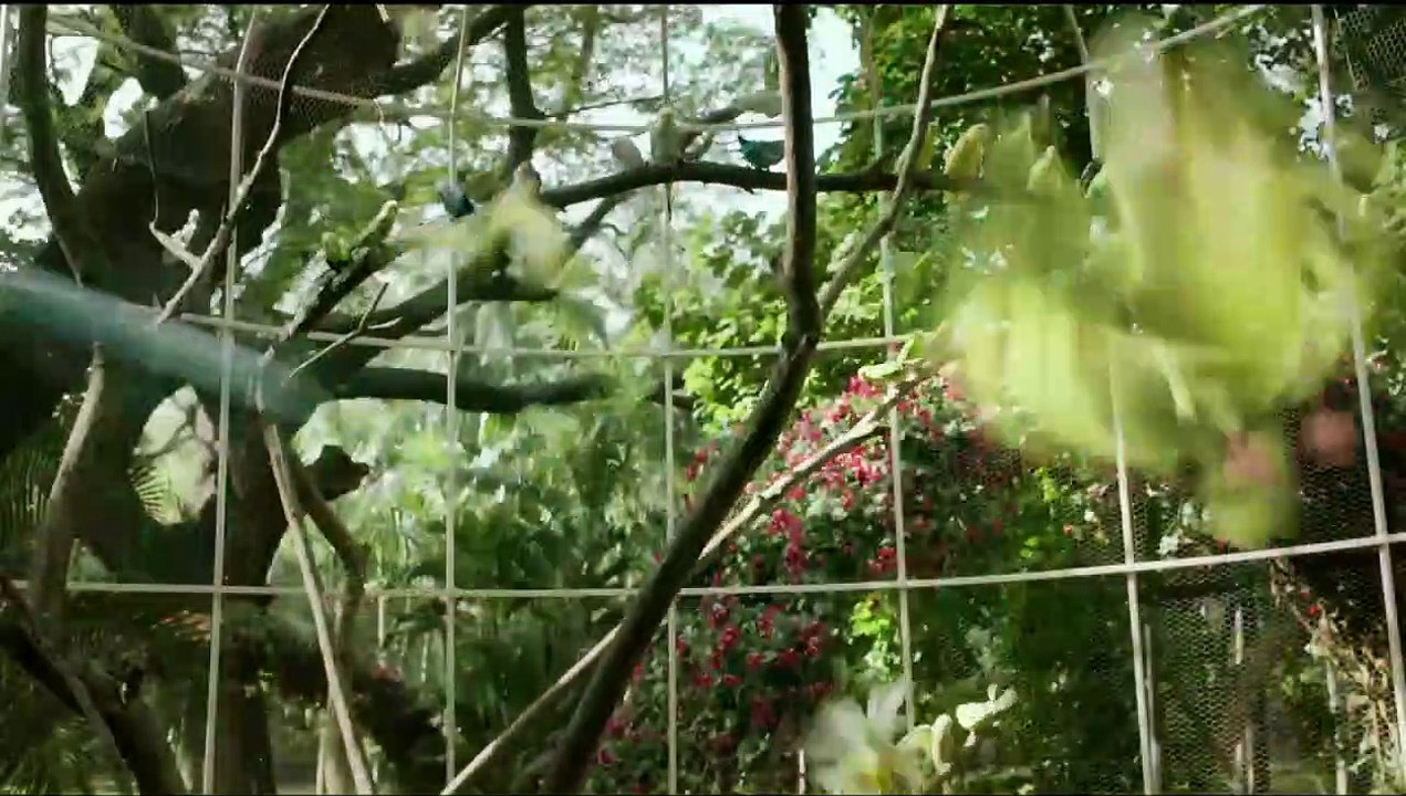 A ne pas manquer ce soir : Le réalisateur de ce film à grand spectacle a carrément viré Spider-Man de son montage final