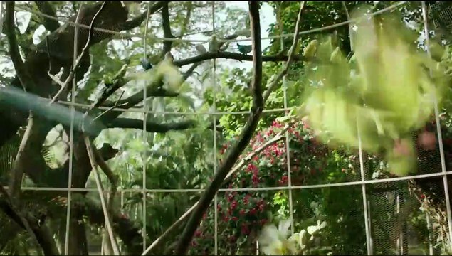 A ne pas manquer ce soir : Le réalisateur de ce film à grand spectacle a carrément viré Spider-Man de son montage final