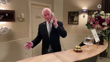 Sommerpause beim "Sturm": Was treibt Alfons eigentlich am "Fürstenhof"?