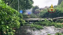 Maltempo in provincia di Lecco, alberi caduti e tetti scoperchiati