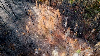 Arde Canadá, la última catástrofe medioambiental
