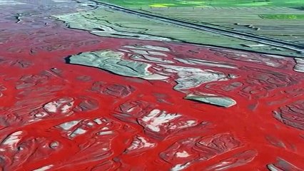 La rivière de couleur rouge en Chine est éblouissante
