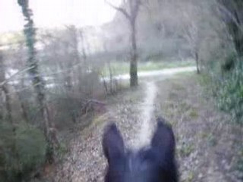 Grosse descente à cheval balade 23 02 08